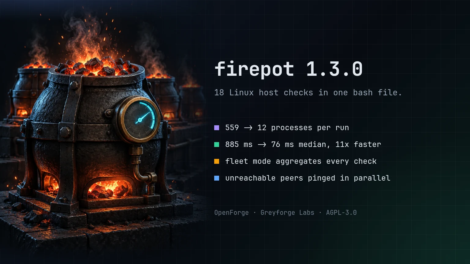 firepot 1.3.0: 12 processes per full run instead of 559, 76 ms instead of 886 ms, fleet mode aggregates every check, 203 tests.